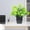 Green#05, variant on weibbin Fake Plants in Black Pot Mini Artificial Eucalyptus Potted Plant Small Faux Grass Greenery Potted for Indoor Home Office Farmhouse Bathroom Table Decoration