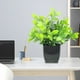 thumbnail image 1 of Ramo decorativo de plantas verdes artificiales,simulación de plantas verdes artificiales,decoración de interiores,decoración floral de plástico para sala de estar, 1 of 6