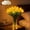 Yellow, variant on 15 PCS Radiant Romantic Tulip Light with Vase, Twinkling Tulips Tree, LED Artificial Flowers Ambient Night Lamp, Gentle Lighting, for Bedroom Bedside Decor and Gift (White)