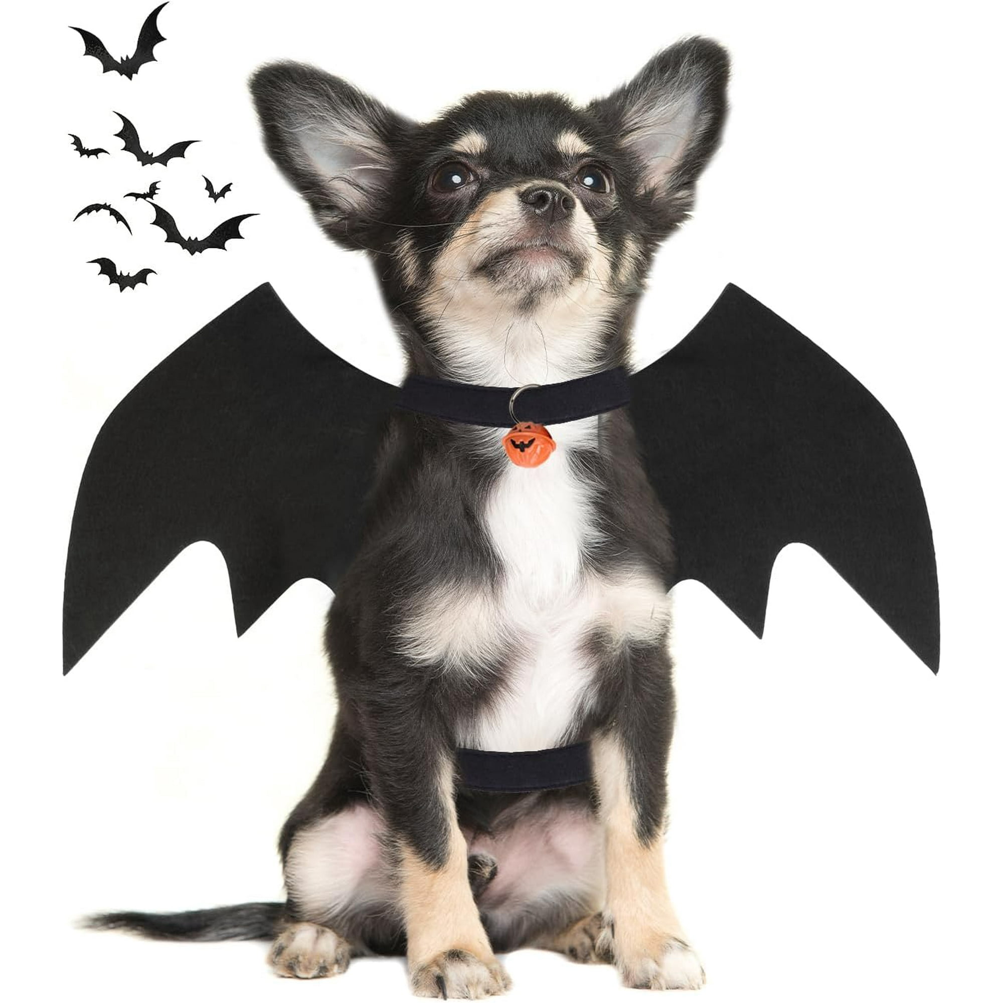 Dog Halloween Costumes, Pet Costumes for Dogs with Pumpkin Bell, Dog Bat  Wings Halloween Cosplay Party Dress Up (Black,L)