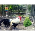 thumbnail image 5 of Vehomy Chicken Xylophone Toy and 2PCS Chicken Veggies Skewers Fruit Holder Chicken Vegetable Hanging Feeder Chicken Toys for Hens 3Pcs, 5 of 7