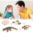 thumbnail image 5 of Crocodile Growing Toy Set, Simulation Animals Egg To Animal Figures Toy Crocodile Growth Cycle Figures Model Kids Early Learning Toys, 5 of 5