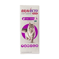 thumbnail image 1 of Bravecto Plus Pipeta Desparasitante Externa e Interna para Gato 6.25 - 12.5 Kg 500 mg, 1 of 2
