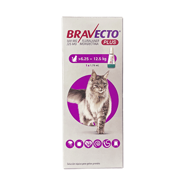 Bravecto Plus Pipeta Desparasitante Externa e Interna para Gato 6.25 - 12.5 Kg 500 mg