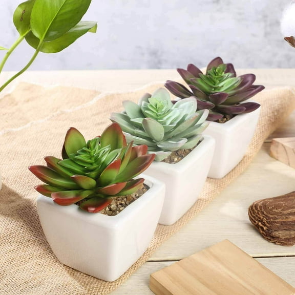 Efavormart Set of 3 | 4'' Assorted Green Echeveria Artificial Faux Succulent Plants Mini Green Plant In White Ceramic Pot