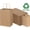 Brown, variant on Reli Kraft Paper Bags with Handles Bulk Set – 5.25x3.25x8 Brown Gift Bags, Recyclable Heavy Duty Shopping Bags for Retail, Party Favors, Wedding & DIY Crafts, 55 Case/Pack