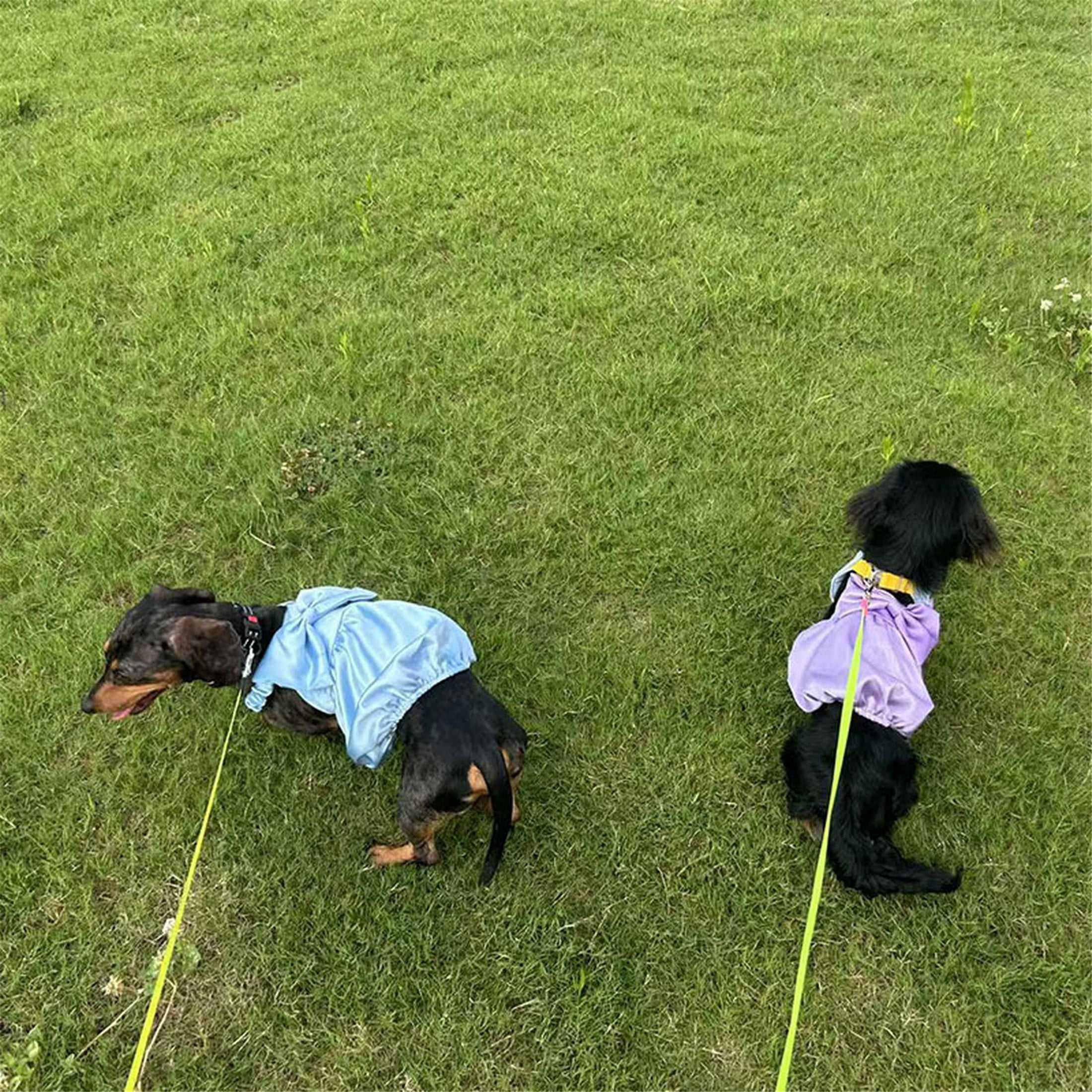 HQREA Dachshund Dog Dress Summer Girl Pretty Dog Wedding Party Skirt Outfits with Bow Valentine Clothes for Medium Large Dogs
