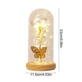 thumbnail image 3 of Hometravel Glass Dome Night Light, Preserved Rose and Butterfly Display with LED Base, Crystal Flower Decor with Glowing Effect for s, 3 of 6