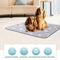 thumbnail image 5 of 2-pack Washable Dog Pee Pad Reusable Waterproof Pee Pad For Dogs Training Pads Puppy Mat Whelping Pad, 5 of 5
