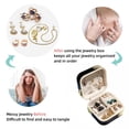 thumbnail image 4 of Raccoon Jewelry Display and Organizer: Portable Square Travel Case for Rings, Earrings, Necklaces, Bracelets - Suitable for Girls and Women, 4 of 6