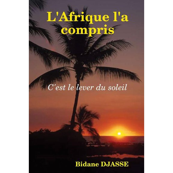 L'Afrique l'a compris, (Paperback)