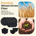 thumbnail image 4 of Homienly 16-Piece Wheat Straw Dinnerware Set, Plates, Bowls & Cups, Service for 4, Microwave & Dishwasher Safe, Black, 4 of 8