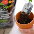thumbnail image 3 of Pro-Mix® Organic Vegetables And Herb Mix, 9l, 3 of 5