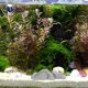 thumbnail image 4 of unbranded Piedra Ornamental Para Acuario Compacto Para En Hogar, 4 of 8