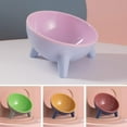 thumbnail image 2 of Monfince Raised Cat Bowls, Tilted Elevated Cat Food and Water Bowls Set, Stress Free Pet Feeder Bowl Dish for Cats and Small Dogs, Pink, 2 of 10