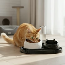 Tvtnvo Automatic Pet Water Dispenser Double Bowl Pet Dog Feeder with Non Slip Base Self Refilling Covered Bottle Easy to Clean Food and Water Station for Indoor Pets Black 10.2x6.6x7.1in