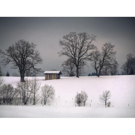 Winter Scene, Hill and Trees, Hut and Foreboding Sky Print Wall Art By Sheila
