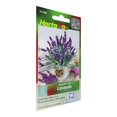 thumbnail image 3 of Pack De 2 Semillas De Lavanda Hortaflor Morado 0.5 Gr, 3 of 3