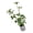 A, variant on Plastic Miniature Faux Plant in a Gray Cylindrical Pot for Small Room Layouts, Model Displays, and Tabletop Arrangements