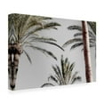 thumbnail image 3 of Trademark Fine Art Pictufy Studio III Palm 9 Canvas Wall Art, 3 of 4