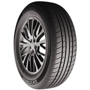 Dextero DTR1 All Season 195/65R15 91H Passenger Tire