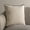 Ivory/Brown, variant on Safavieh Dani 18" x 18" Coastal Cotton Decorative Pillows, Rust/Brown