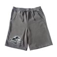 thumbnail image 1 of Bermuda Casual Jurassic World para Niño Gris Talla 6, 1 of 4