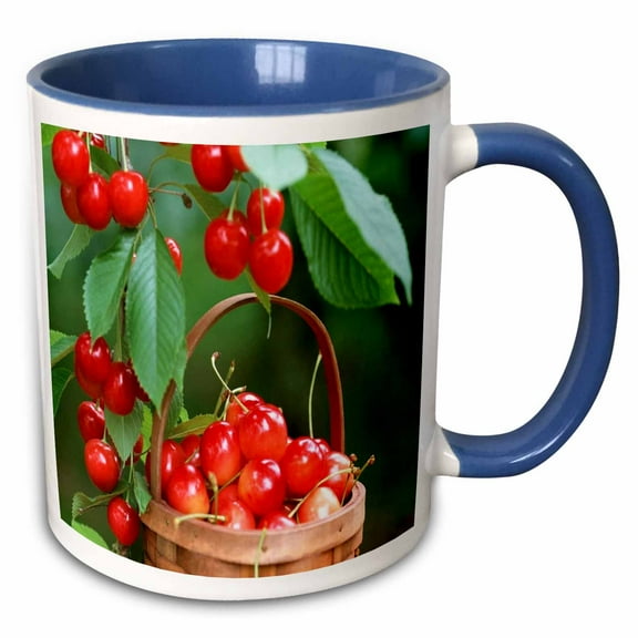 3drose, Cherries in a Basket, 15oz Two-tone Blue Mug