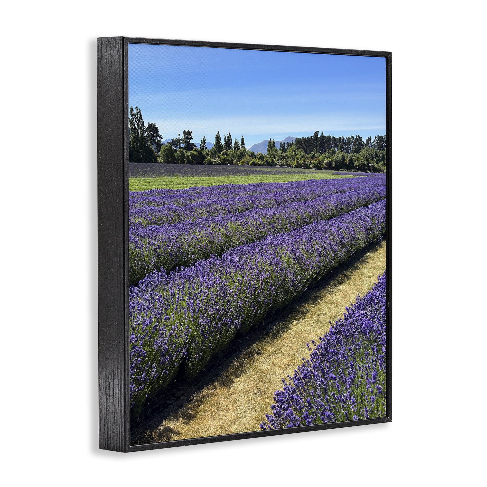Stupell Industries Lavender Path Landscape Landscape Photography Black Framed Art Print Wall Art, 24 x 30