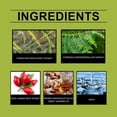 thumbnail image 4 of unique Cyperus Rotundus Oil, 100% Natural Nut Grass Oil, Cyperus Rotundus Oil for Hair Removal, Topical Cyperus Rotundus Oil, Reducing Body Hair Growt, 4 of 5