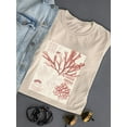 thumbnail image 3 of Antique Coral Seaweed Iv T-Shirt Women -Vision Studio Designs, Female Medium, 3 of 4