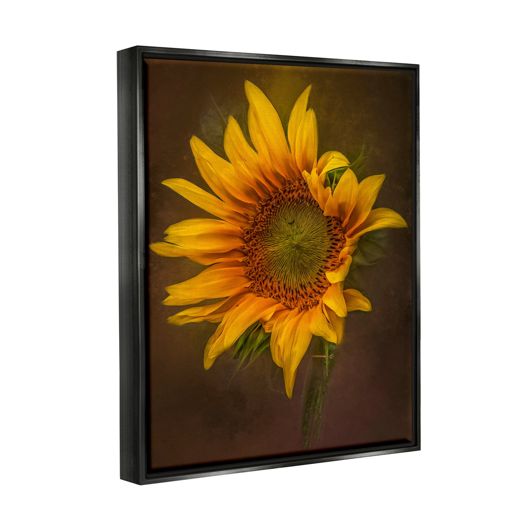 Stupell Industries Modern Detailed Sunflower Petals Botanical & Floral Painting Black Floater Framed Art Print Wall Art