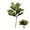 Grün, variant on Pekkaxy Artificial Magnolia Leaves Branches,Realistic Magnolia Leaves Real Touch,22 In Faux Magnoli-a Branches Artificial Magnoli-a Stems,for Home Office Room Table Vase Farmhouse Decor