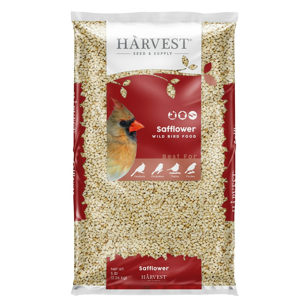 Harvest Seed & Supply Safflower Wild Bird Food, Cardinals' Favorite Food, 5 lb. Bag Walmart
