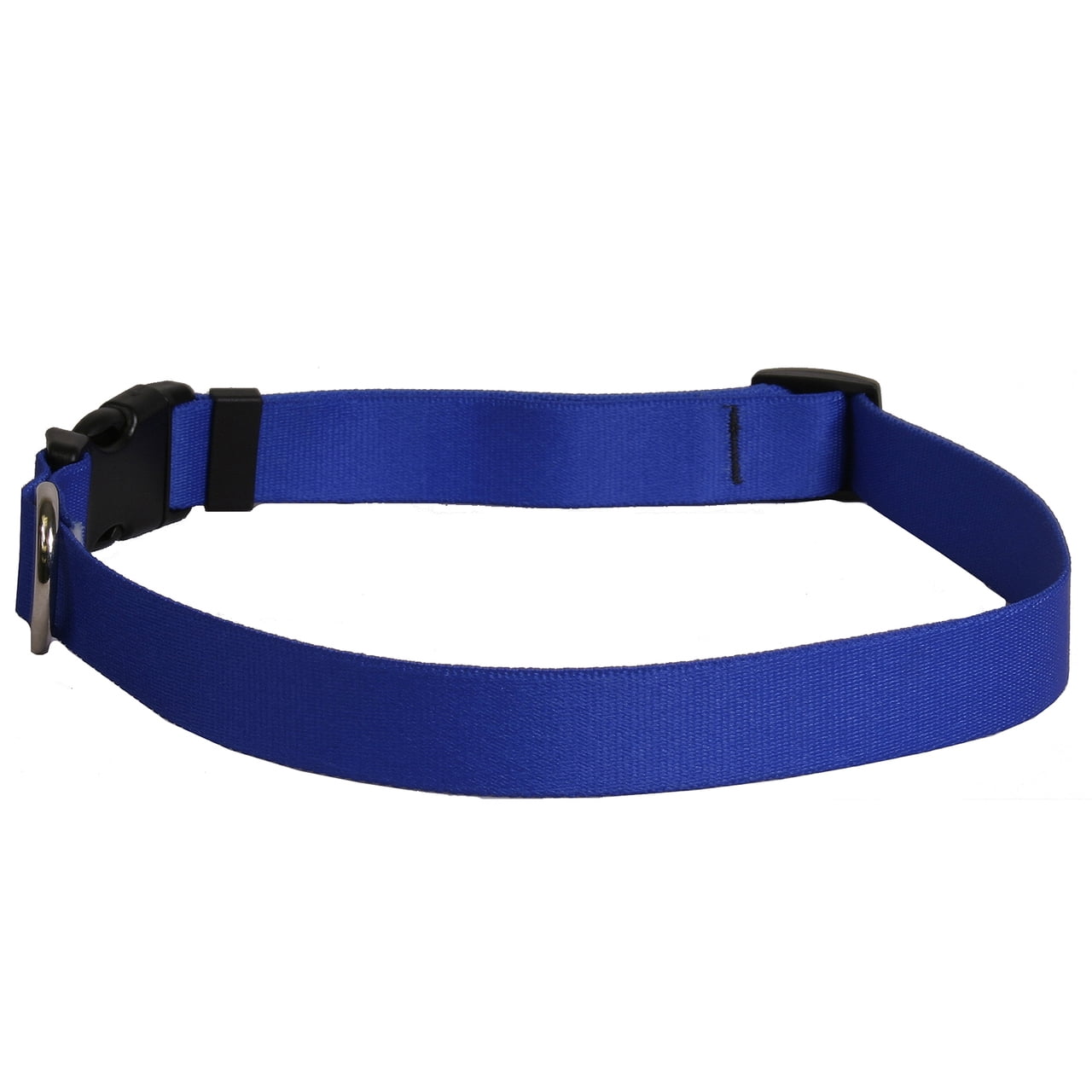simple dog collar