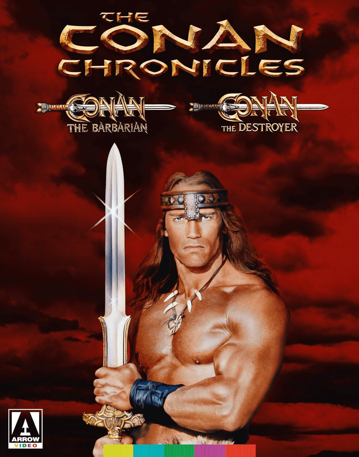 The Conan Chronicles: Conan The Barbarian / Conan The Destroyer