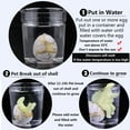thumbnail image 5 of Easter Dinosaur Eggs Hatching Dino Egg Grow in Water Crack with Assorted Color Hunting Game Easter Basket Stuffers Birthday Easter Gifts Party Favors for Toddler Kids 3-10 Boys Girls, 5 of 7