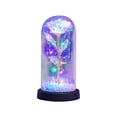 thumbnail image 2 of Gaiwos Preserved Rose in Glass Dome Light up Rose Galaxy Roses with Colored Foam Ball Filler, Forever Eternal Flowers, Anniversary Presents for Valentine's Day and Mother's Day, 8.27 in, 2 of 6