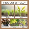 thumbnail image 4 of Soil Pro Activator Organic Sources Organic Soil Activator Plant Fertilizer, 4 of 5