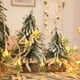 thumbnail image 4 of Cadena de Luces LED Navideñas Xihbxyly En Papá Noel Muñeco de nieve árbol, 4 of 6
