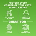 thumbnail image 4 of BugMD Pet Safe Flea Spray for Cats & Home | Natural Indoor Flea Killer & Tick Prevention | Plant-Based Flea Treatment for Carpet, Furniture & Cat Trees with Essential Oils, 4 of 10