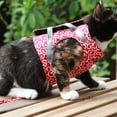 thumbnail image 6 of Cats Harness Leash Large for Small Cats No Pull with Leash Adjustable Clip Comfortable and Secure Buckles, 6 of 8