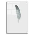 thumbnail image 1 of Epic Art 'Feather 9' by Incado, Acrylic Glass Wall Art, 24"x36", 1 of 8