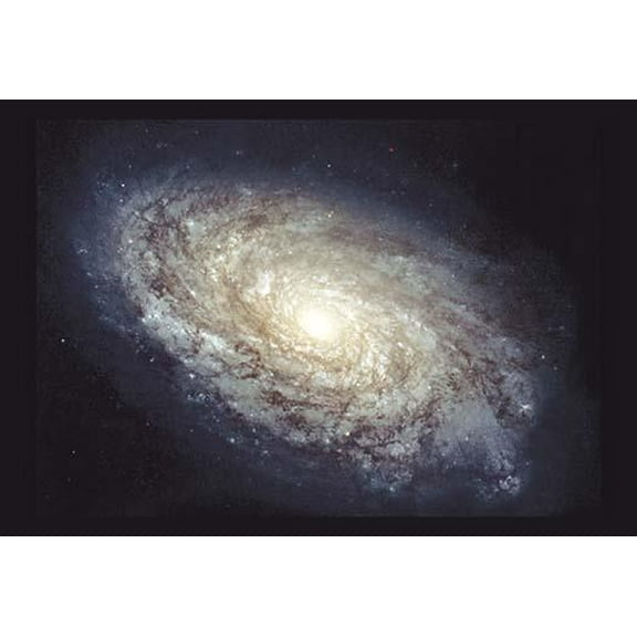 NGC 4414-Fine Art Canvas Print (20" x 30")