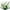 White, variant on Zukuco 6 Bundles Tulips Artificial Flowers,30 Heads Outdoor Artificial Tulip Faux Plastic Greenery Shrubs Plants UV Resistant for Easter Home Outside Garden Porch Window Decor, Purple