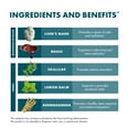 thumbnail image 5 of Host Defense MycoBotanicals Stress Decompress* Capsules - 60 Capsules (30 Servings), 5 of 8
