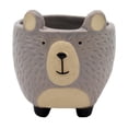 thumbnail image 1 of KOPPERS HOME SMALL BEAR PLANTER - PACK OF 4, 1 of 1