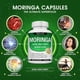 thumbnail image 2 of Cápsulas de Moringa de 1200 mg – Polvo puro de moringa oleifera Leaf Superalimento rico en antioxidantes, salud de la piel y apoyo inmunológico, superalimento verde natural, 2 of 3