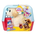 thumbnail image 4 of Little Live Pets Ouchies Deluxe Single Pk Cooper, 4 of 19