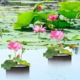 thumbnail image 2 of 4 Pcs X Aquatic Planting Bags - Reusable Mesh Water Garden Pond Plant Pot - Breathable Square Lily Pots for Swamp B, 2 of 6